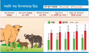 মহিষের সংখ্যা এক যুগেও বাড়েনি