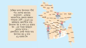 মাছ উৎপাদনে দেশসেরা ময়মনসিংহ ও যশোর