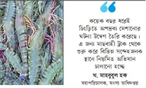 এক বছরে ৩৯ হাজার কেজি অপদ্রব্য মেশানো চিংড়ি ধ্বংস