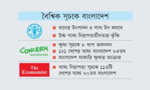 ধান নিয়ে দুশ্চিন্তা, খাদ্য নিরাপত্তা নিয়ে উদ্বেগ