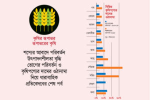 কৃষিপণ্যের দামে অস্থিতিশীলতায় শীর্ষে পেঁয়াজ