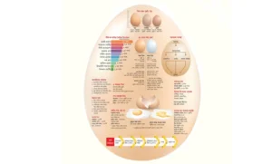 ২৫ হাজার কোটি টাকার বাজার