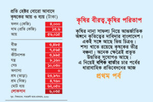 কৃষকের আয় নেই বোরোতে