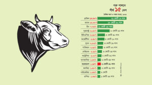 গরু পালনে বিশ্বে দ্বাদশ বাংলাদেশ