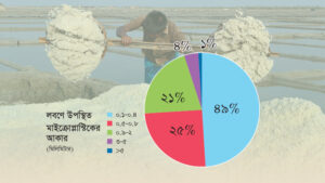 দেশের লবণে প্লাস্টিকের উদ্বেগজনক উপস্থিতি