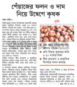 পেঁয়াজের ফলন ও দাম নিয়ে উদ্বেগে কৃষক