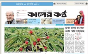 ড্রাগন ফলের উৎপাদন কোটি কেজি ছাড়িয়েছে