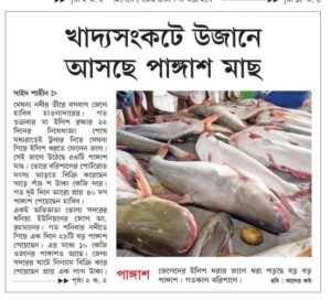 খাদ্যসংকটে উজানে আসছে পাঙ্গাশ মাছ