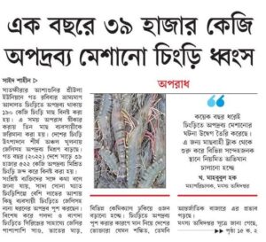 এক বছরে ৩৯ হাজার কেজি অপদ্রব্য মেশানো চিংড়ি ধ্বংস