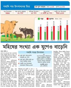 মহিষের সংখ্যা এক যুগেও বাড়েনি