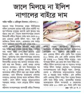 জালে মিলছে না ইলিশ নাগালের বাইরে দাম