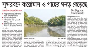 সুন্দরবনে বায়োমাস ও গাছের ঘনত্ব বেড়েছে