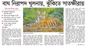 বাঘ নিরাপদ খুলনায়, ঝুঁকিতে সাতক্ষীরায়