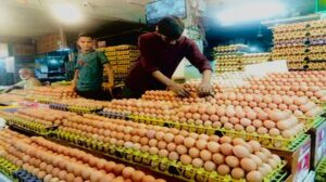 উৎপাদন বেশি হলেও দাম চড়া